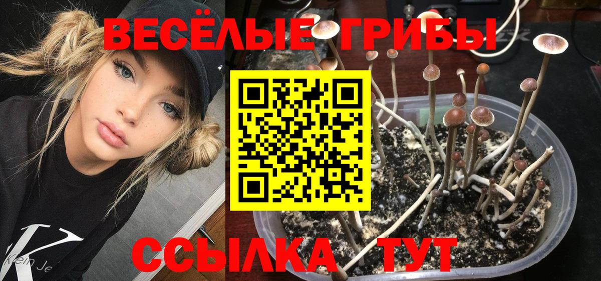 Дубна  Галлюциногенные грибы мухоморы  Вход с VPN  Псилоцибиновые грибы GOLDEN TEACHER 