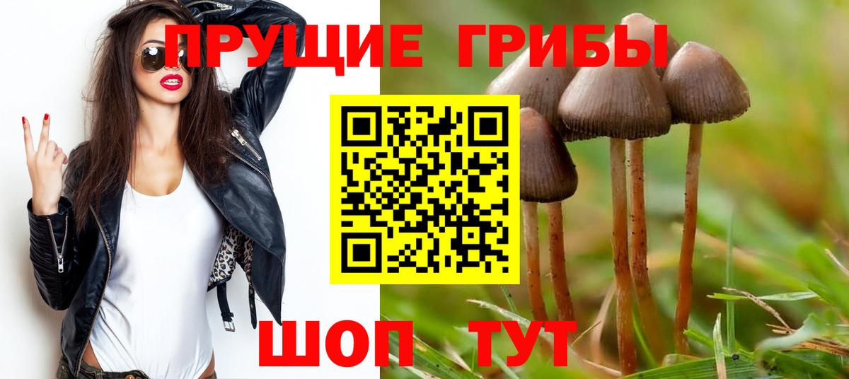 Псилоцибиновые грибы Magic Shrooms Дубна